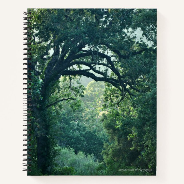 Arching Tree Notebook (Front)