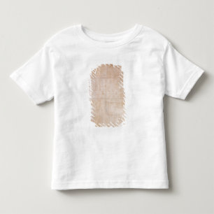Architectural Sketch Toddler T-Shirt