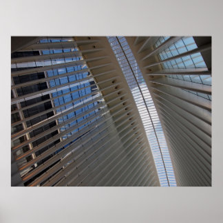 architectural spiderweb poster