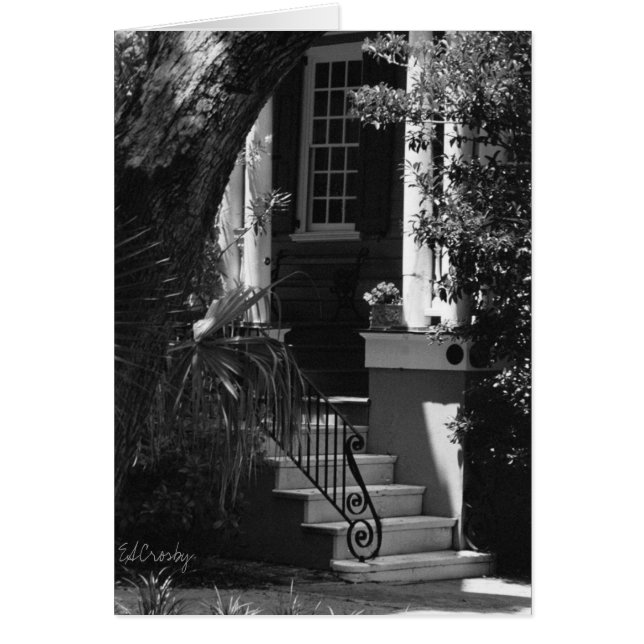 architecture #30 (Front)