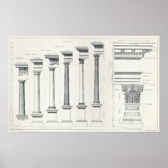 Architecture I: Orders of Architecture Poster (Front)