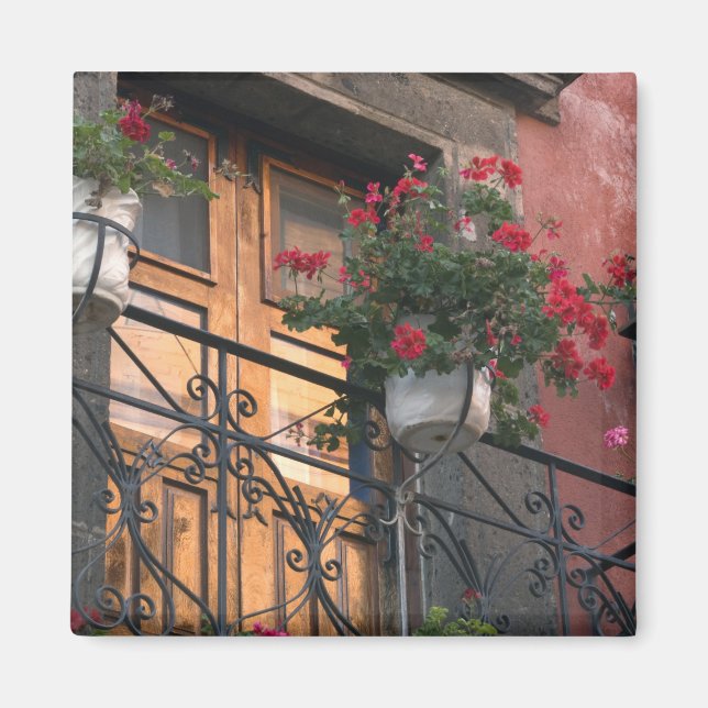 Architecture on the streets of San Miguel de Magnet (Front)