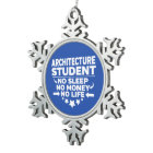 Architecture Student No Life or Money