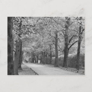"Archway" custom postcards