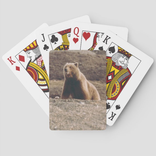 Arctic Alaska Tundra Grizzly Sow Photo Designed Playing Cards (Back)