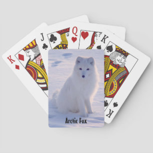 Arctic Alaskan White Fox Winter Pose Playing Cards