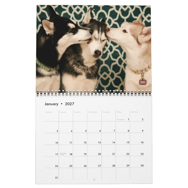 Arctic Blue Siberians  2015 Calendar (Jan 2027)