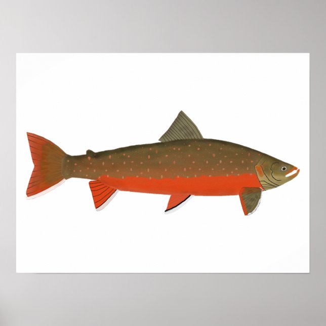 Arctic Char Poster (Front)