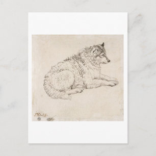 Arctic Dog, Facing Right (pencil on paper) Postcard