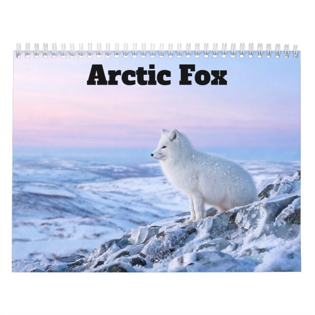 Arctic Fox 2027 Calendar (Cover)