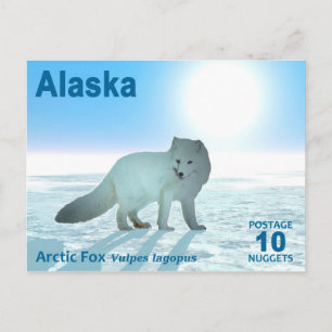 Arctic Fox - Alaska Postage Postcard