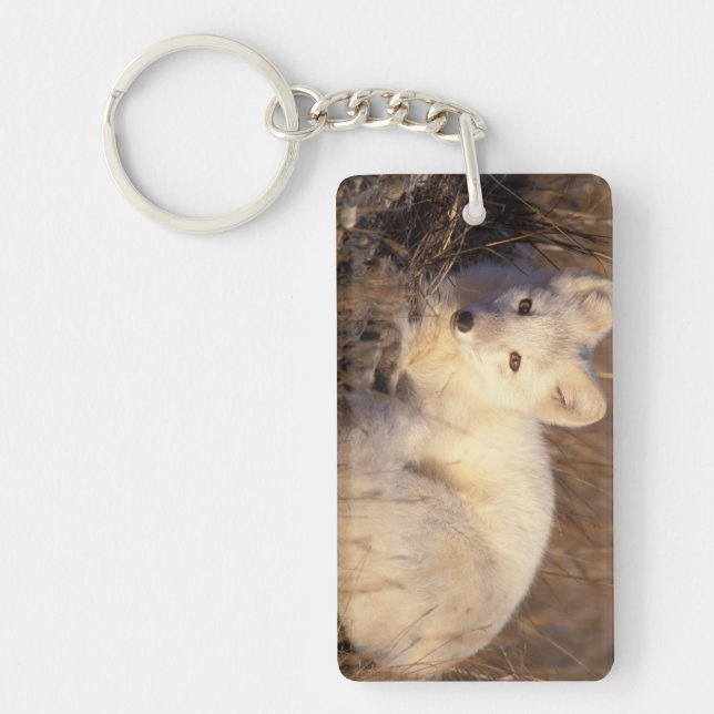 arctic fox, Alopex lagopus Key Ring (Front)