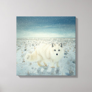 Arctic Fox Canvas Print