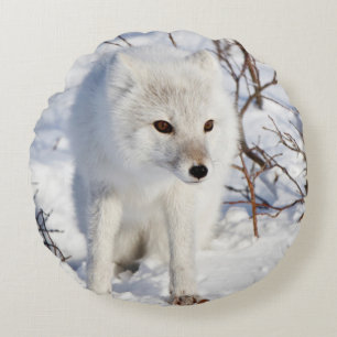 Arctic Fox , Churchill Wildlife Management Area Round Cushion