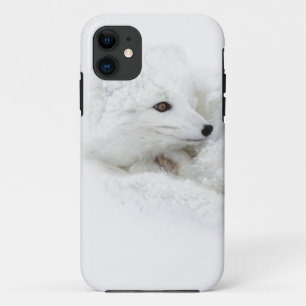 Arctic Fox curled up in winter iPhone 11 Case