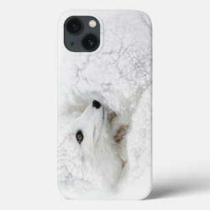 Arctic Fox curled up in winter iPhone 13 Case