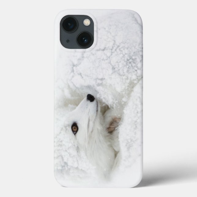 Arctic Fox curled up in winter Case-Mate iPhone Case (Back)
