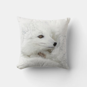 Arctic Fox curled up in winter Cushion