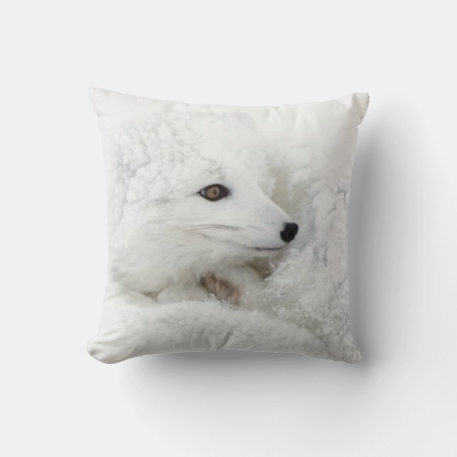 Arctic Fox curled up in winter Cushion (Front)