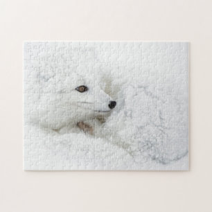 Arctic Fox curled up in winter Jigsaw Puzzle