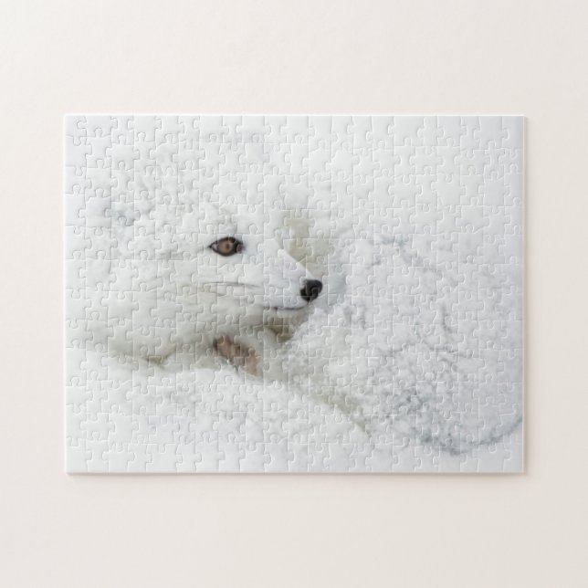 Arctic Fox curled up in winter Jigsaw Puzzle (Horizontal)