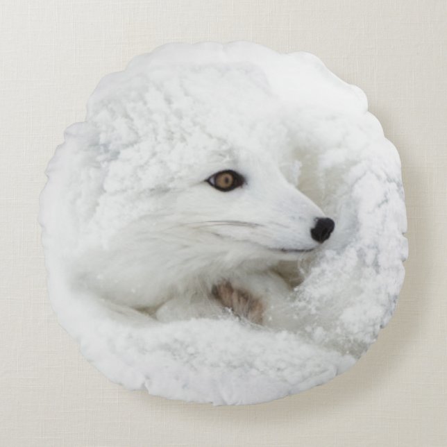 Arctic Fox curled up in winter Round Cushion (Front)