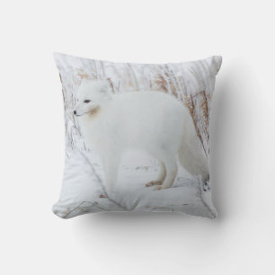 Arctic Fox Cushion