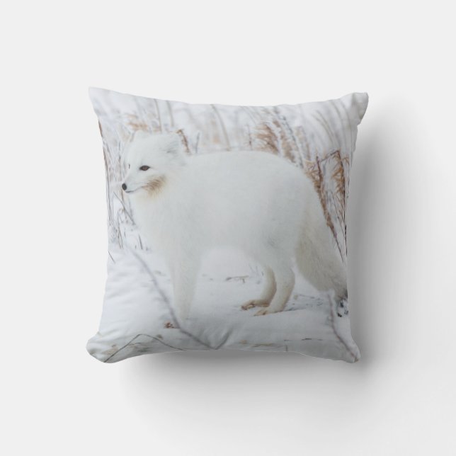 Arctic Fox Cushion (Front)