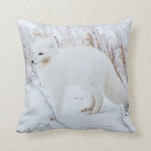 Arctic Fox Cushion
