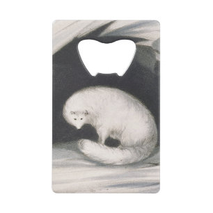 Arctic Fox, from 'Narrative of a Second Voyage in