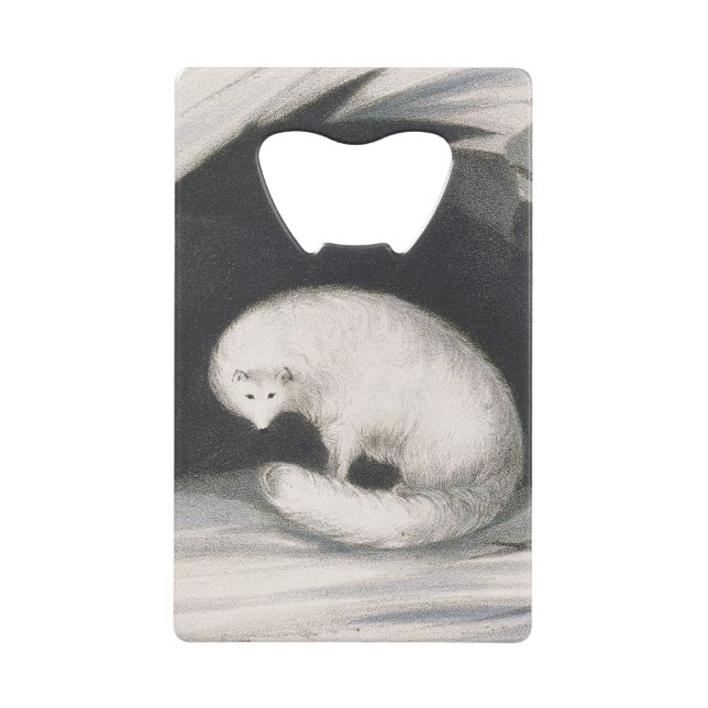 Arctic Fox, from 'Narrative of a Second Voyage in (Front)