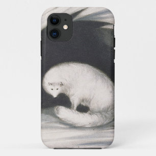 Arctic Fox, from 'Narrative of a Second Voyage in iPhone 11 Case