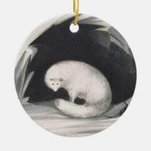Arctic Fox, from 'Narrative of a Second Voyage in Ceramic Tree Decoration