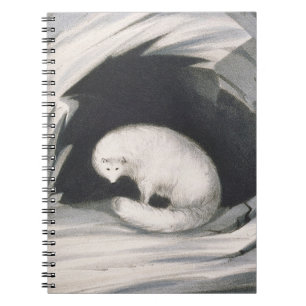 Arctic Fox, from 'Narrative of a Second Voyage in Notebook