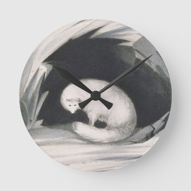 Arctic Fox, from 'Narrative of a Second Voyage in Round Clock (Front)