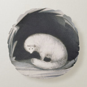 Arctic Fox, from 'Narrative of a Second Voyage in Round Cushion