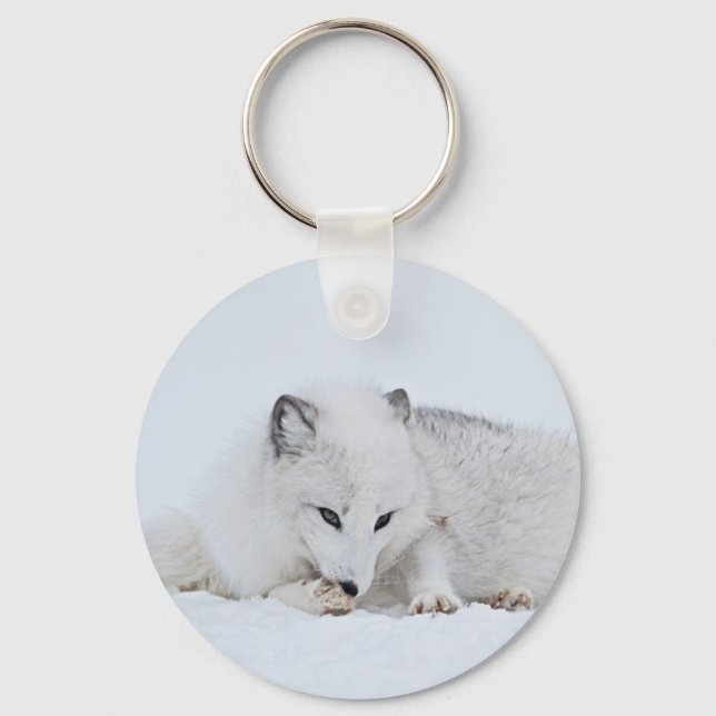 Arctic Fox in the Snow Key Ring (Front)