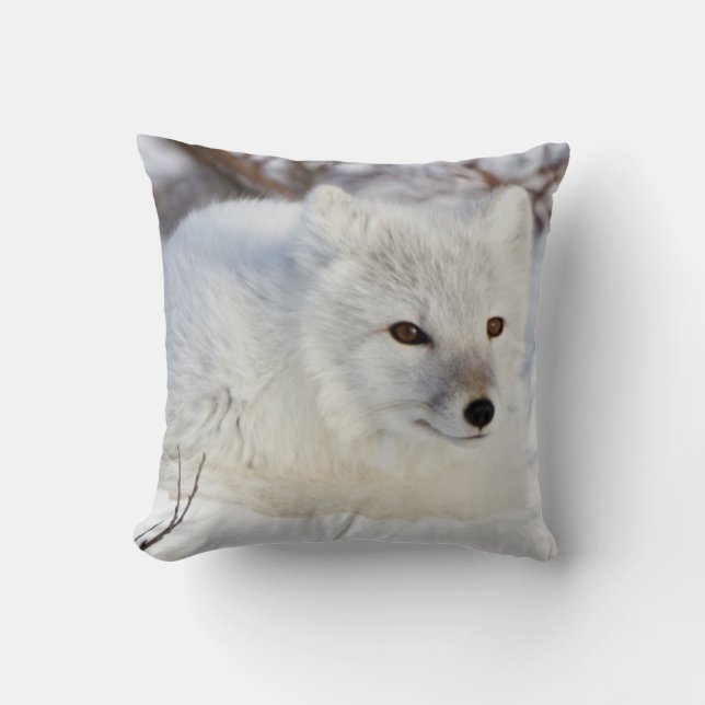 Arctic Fox in winter Cushion (Front)
