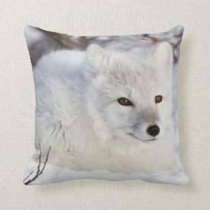 Arctic Fox in winter Cushion