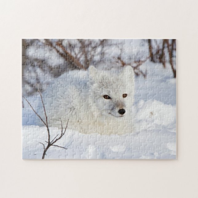 Arctic Fox in winter Jigsaw Puzzle (Horizontal)