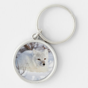 Arctic Fox in winter Key Ring