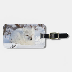 Arctic Fox in winter Luggage Tag