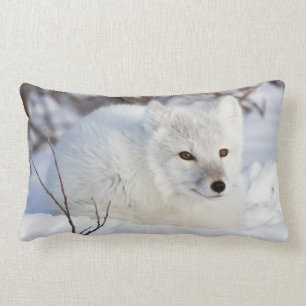 Arctic Fox in winter Lumbar Cushion