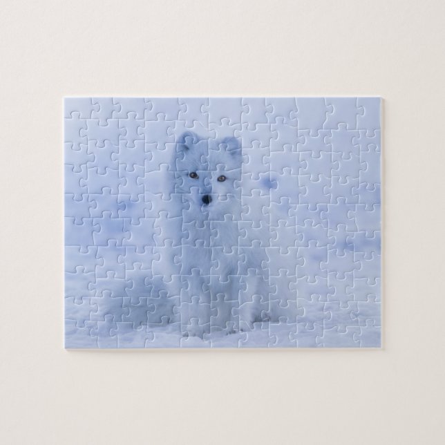 Arctic Fox Jigsaw Puzzle (Horizontal)