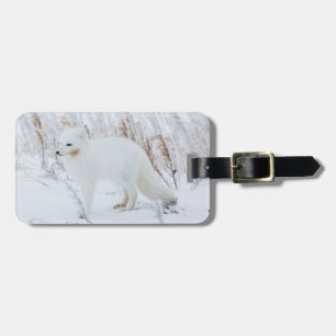 Arctic Fox Luggage Tag
