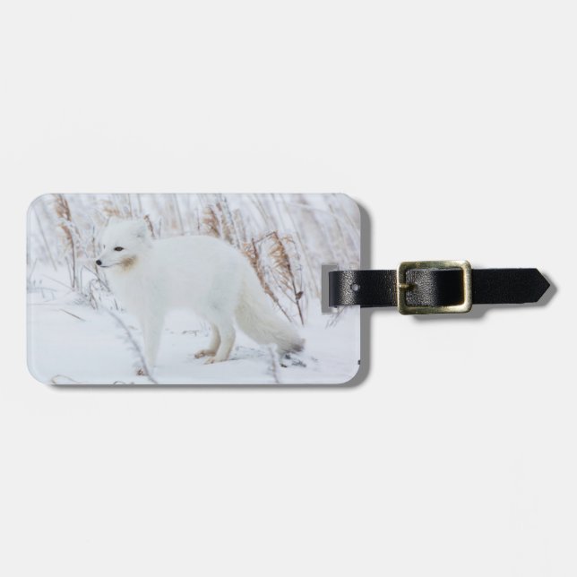 Arctic Fox Luggage Tag (Front Horizontal)