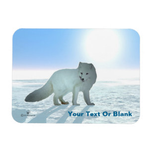 Arctic Fox Magnet
