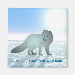 Arctic Fox Magnet