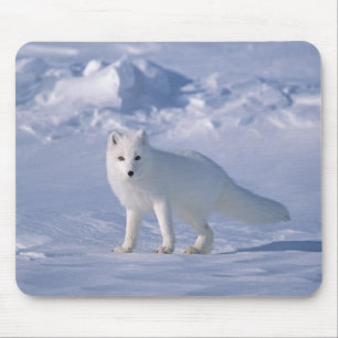 Arctic Fox Mouse Mat