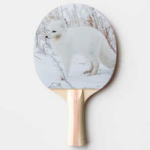 Arctic Fox Ping Pong Paddle